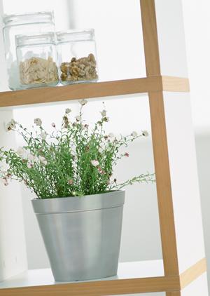 埼玉県さいたま市にあるタカラスタンダード・さいたまショールームの詳細情報と特徴紹介